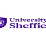 University of Sheffield